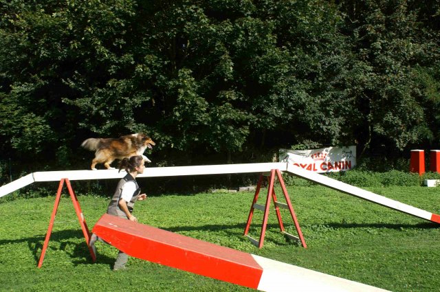agility 2011-08